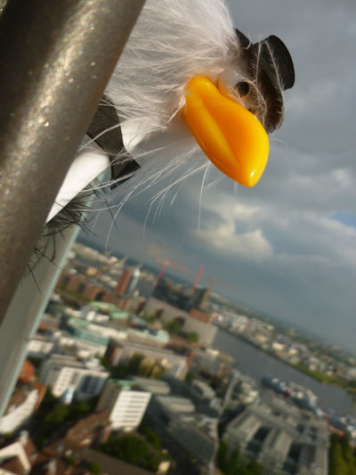 Alfred auf dem Michel