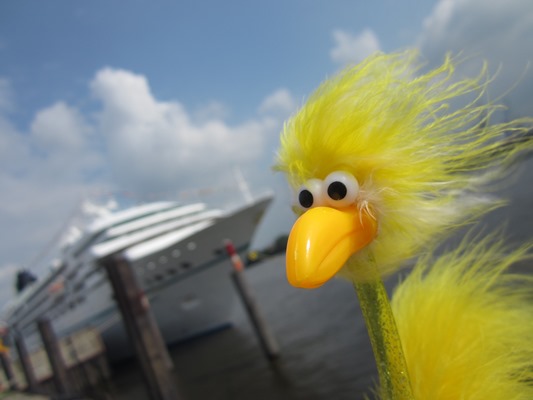 Fibo auf gro�er Fahrt