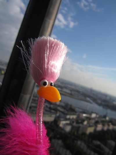 Floyd auf dem Michel