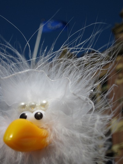 Frida am Europaparlament