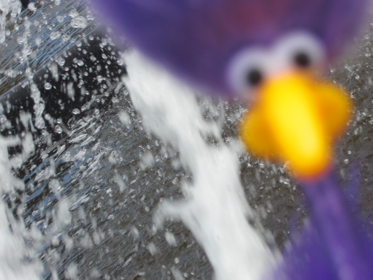 Ingo am Springbrunnen