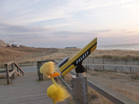 Finn der Ornithologe