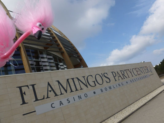Flamingos Partycenter