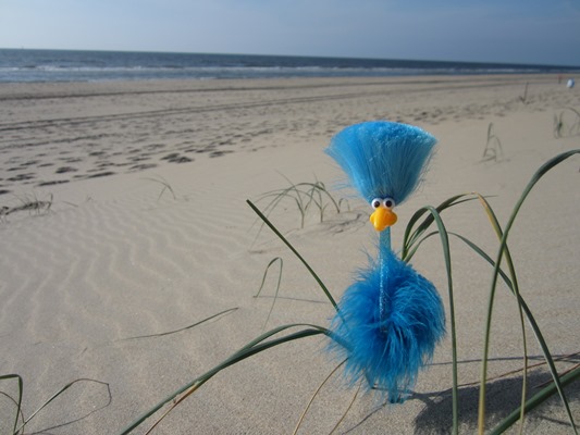 Franz Ferdinand am Strand