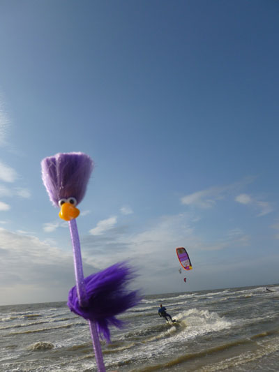 Ingo surft Kite
