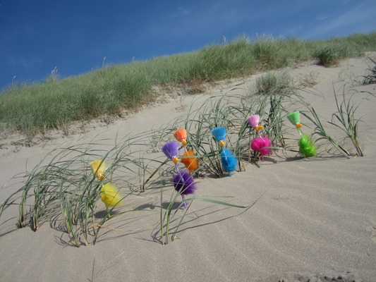 Die Mingos am Strand