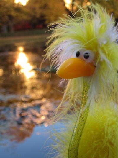 Fibo im Herbst in Dortmund