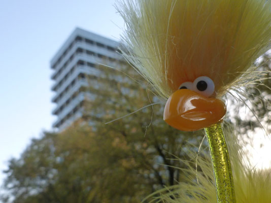 Finn in der Gro�stadt