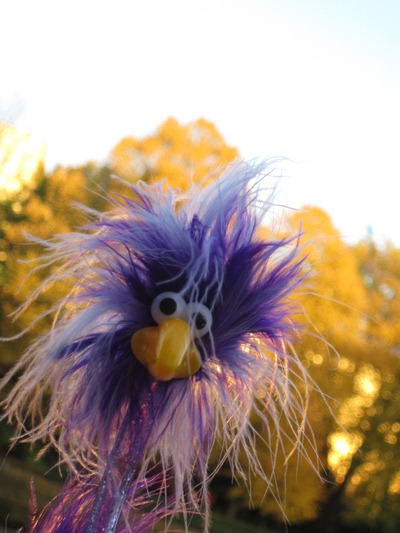 Inga mit Herbstsonne