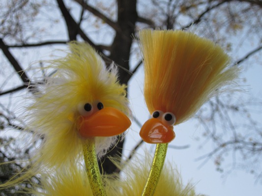 Fibo & Finn vor kahlem Baum