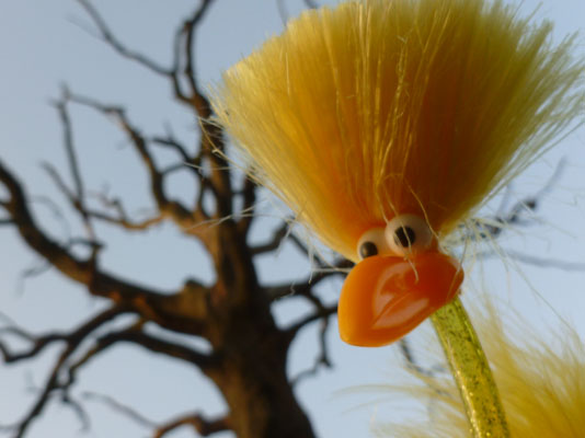 Finn vor kahlem Baum