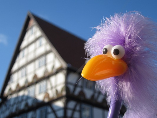 Fleur vorm Fachwerkhaus