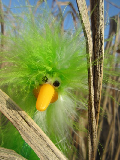 Frederike im Getreide