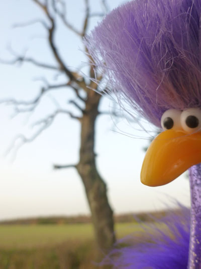 Ingo mit verdorrtem Baum