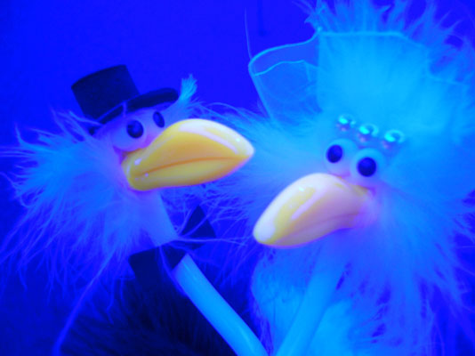 Frida & Alfred im Kino