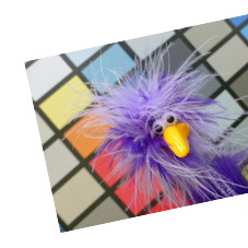 Inga und die Farbwand