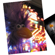 Inga am Musikexpress