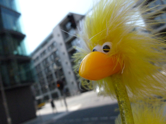 Fibo in Berlin Mitte