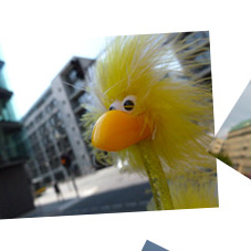 Fibo in Berlin Mitte