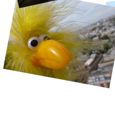 Fibo und Berlin von oben